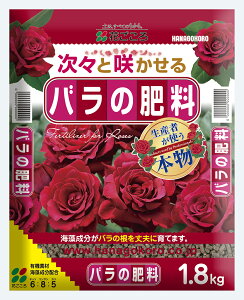 o̔엿1D8KGԂ뉀|piEK[fjOpi