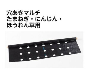 ʂ˂}`70D02X1350X50MJ}eA