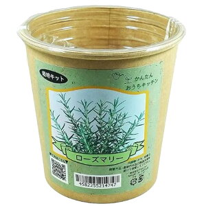 񂽂񂨂Lb`@[Y}[@tHXg