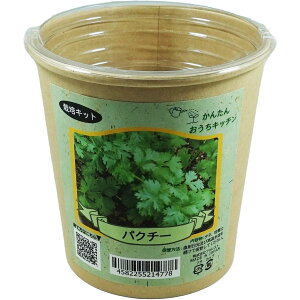 񂽂񂨂Lb`@pN`[@tHXg