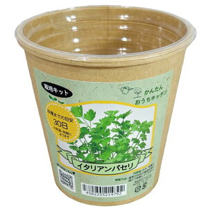 񂽂񂨂Lb` C^ApZ tHXg