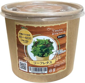 񂽂񂨂t@[@[t^X@tHXg