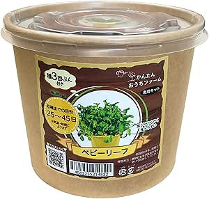 񂽂񂨂t@[@xr[[t@tHXg