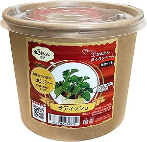 񂽂񂨂t@[@fBbV@͔|Lbg