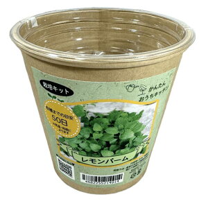 񂽂񂨂Lb`@yp[~g@tHXg