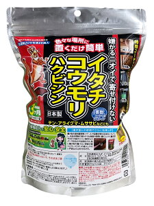 QbjQ[ ^Cv p 20ܓ AteB