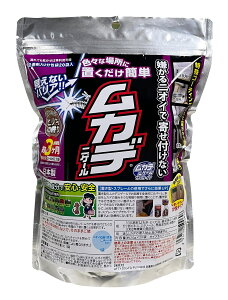 JfjQ[ ^Cv p 20ܓ AteB