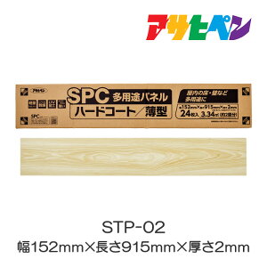 SPCprpl STP-02 1P[X 24 ATqy