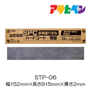 SPCprpl STP-06 1P[X 24 ATqy
