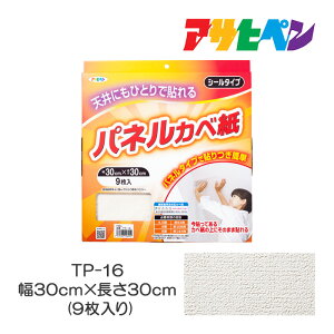 ǎ VpplJx V[ S^Cv t[X 30cm×30cm 9 TP-16 ATqy ǎ\ւ NX ւ  zCg ^C