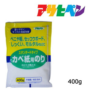 Jxp̂ X^_[h^CvJxp̂ 400g Jx(ǎ)pڒ