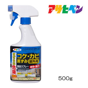 Jr Xv[ JrXv[ A RPEJrݏXv[ 500g ATqy  RP  