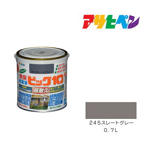 ATqy rbO10pr 0.7L X[gO[ 245 h h yL