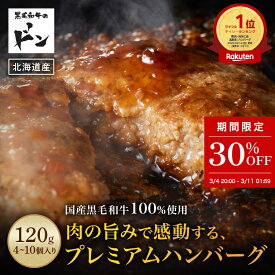 【30%OFF 楽天スーパーSALE期間】黒毛和牛 ハンバーグ ギフト 食品 内祝い 冷凍ハンバーグ 国産 冷凍 プレゼント 青空レストラン お取り寄せ 北海道 お返し 和牛 グルメ お取り寄せグルメ 冷凍食品 お祝い 贈り物 食べ物 合挽ハンバーグ hannba-gu