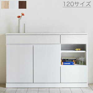 120 TCh{[h (NA/WH/BR) rO{[h Lrlbg ot i`EzCgEuE3F s30cm̃XTCY 2RZgt g/k/_/Vv/a/Jt