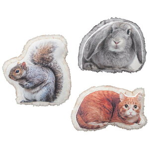 NbV (ETM/X/lR) 킢^̃NbV Aj}NbV NbV ăCeAɂ q܂ւ̃v[gɂ rbg Lbg CeAG 