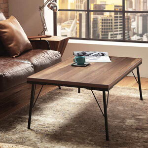e[u 120×60cm 2way ` { tbgq[^[/ԃXCb` ^q[^[ Íޕ×ACA JWAfUC ubN/jOCeA/Be[W/re[W/t@N
