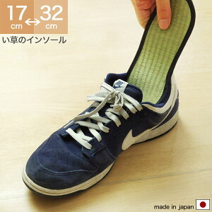  C\[ ~ 17`32cm LbY/fB[X/Y Y { L R x jEEqlΉ  C  COT 17cm 18cm 19cm 20cm 21cm 22cm 23cm 24cm 25cm 26cm 27cm 28cm 29cm 