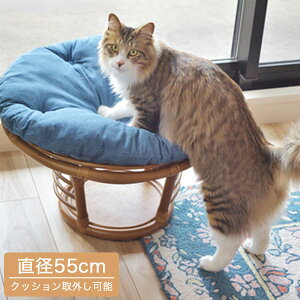 ybgpxbh NbVt ybgXc[ Lbgxbh hbOxbh p Lp ybgxbg Xc[ ֎q   ~jXc[  ^   킢 Vv