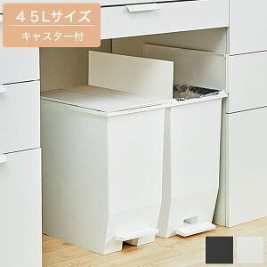 45L _Xg{bNX ubN/zCg y[{bNX y_J t^t LX^[t S~ ݔ Vv/_/X^CbV/mg[  27cm s42.5cm 48cm p
