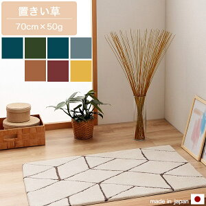  70cm×50g bh/u[/O[/CG[/IW/p[v/O[  C  u tOX IuWF u^ L  z SDGs TXeiu ̓ ̓ a hV