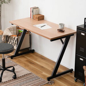 fXN p\RfXN 120cm wK ׋   ؖڒ i` X`[r ItBXfXN VvfXN e[u ݑΖ e[N [g[N AWX^[ 120cm 