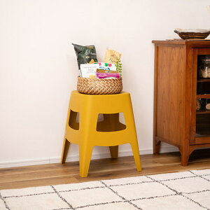 Xc[ ubN/O[/x[W/CG[ [Xc[ ֎q X^bLO 38cm s38cm 45cm |vs | ֈ֎q ⏕֎q Vv/_/g/~bhZ`[/