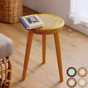 Xc[ i`/uE/ubN/bNX ^Xc[ [Xc[ ֎q CX wȂ ۈ֎q ~`  ؐ ^Ƌ ىƋ ][g AWA Vv 33cm 