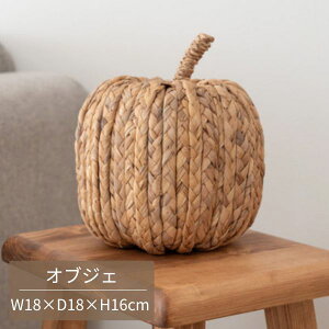 IuWF CeA G EH[^[qVXIuWF EH[^[qVX ь ʕ  {w~A y RpNg 킢 AWA ][g k i` ؍ ۂ W