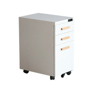 fXNS ubN/zCg S LX^[t TChS S`FXg TCh`FXg VbN/Vv/X^CbV  3i 30 x s45 x 58cm