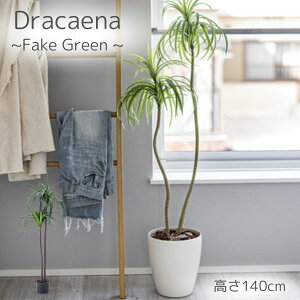 tFCNO[ ϗtA lHϗtA hZi t  CeA  O[ [t  K[f   CeA W  ݂ǂ 