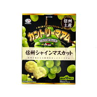 信州限定不二家チョコチップクッキーカントリーマアム信州シャインマスカット味（信州長野のお土産 お菓…