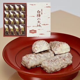 信州芽吹堂 白樺の大地 16個 チョコレートクッキー（夏クール配送）（信州長野のお土産 お菓子 洋菓子 クッキー チョコレート菓子 おみやげ お取り寄せ スイーツ 長野県 長野土産 長野お土産）