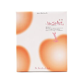 りんごの初恋20個入【送料込／R便／明細・のし不可】（信州長野県のお土産 お菓子 お取り寄せ スイーツ 林檎パイ 洋菓子 通販）