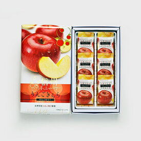 信州りんごきらら6個入小 長野県産りんご果汁使用（信州長野県のお土産 お菓子 お取り寄せ スイーツ おみやげ 林檎ゼリー 洋菓子 生菓子 りんごゼリー 長野土産 長野お土産 通販）