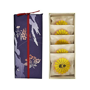 {X qŒ 5iMB̂yY َq aَq Ȃ yY ݂₰ 쌧  yY 삨yY ʔ́j