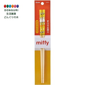 y200~N[|z SKATER XP[^[ | S 21cm ~btB[ t[  ANT4 XP[^[ v[g  w w j wj W wW  w ۈ牀 