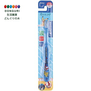 y200~N[|z SKATER XP[^[ uV wp 6-12 炩 |PbgX^[ |P 15.5cm TB6S-A XP[^[ v[g W wW  w ۈ牀 ct