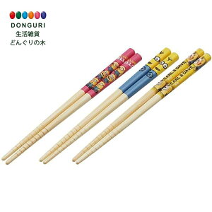 y200~N[|z SKATER XP[^[  | 3Vg ~jI ~jIY 16.5cm ANT2T XP[^[ v[g  w ۈ牀 ct wZ q ̎q w 킢  s