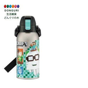 �y200�~�N�[�|���z SKATER �X�P�[�^�[ ���� �q���p ������ 600ml �}�C���N���t�g Minecraft 26 �j�̎q �ۗ��p �X�e�����X �y�ʃ^�C�v waterbottle �X�|�[�c�{�g�� �L�b�Y ���ǂ� ���r STCH6-A ���X�P�[�^
