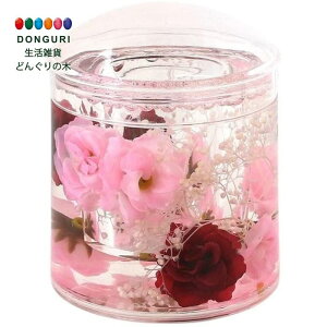 y200~N[|z gR[|[V ANȖ_ [Y 30120951015 gR[|[V v[g j wj 킢  Ԃ