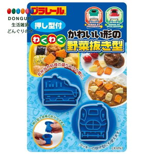 y200~N[|z SKATER XP[^[ ؔ^ v[ 14 { LKVN1 XP[^[ v[g j wj  ObY ^ ۈ牀 q j̎q w 킢 