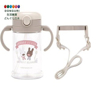 y200~N[|z SKATER XP[^[ xr[p }OJbv Xg[t Rbv TƃKXp[ 370ml KSHW2N XP[^[ v[g  j wj W  ۈ牀 ct