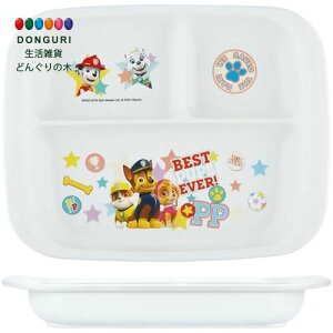 y200~N[|z SKATER XP[^[ LN^[ xr[pPP`v[g `v[g pE pg[ XP[^[ v[g q  Ԃ