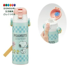 y200~N[|z SKATER XP[^[ qp XeX   580ml Xk[s[ 80sJtF yʃ^Cv ۗp waterbottle SDC6N-A XP[^[ v[g wj wZ q ̎q w