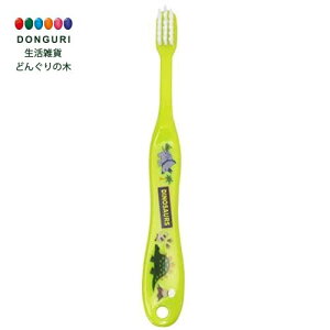 y200~N[|z SKATER XP[^[ uV p 3-5 炩 fBmTEX 14cm TB5S-A XP[^[ v[g  j wj W  ObY ۈ牀 ct