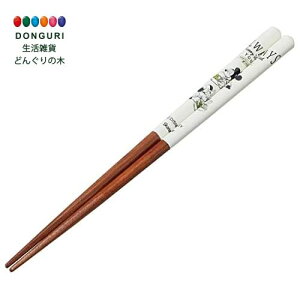 【200円クーポン】 SKATER スケーター 塗箸 21cm ディズニー ミッキーマウス グリーンワールド ANN4SQ-A <スケーター プレゼント 入園特集 入学特集 入園準備 入学準備 保育園 幼稚園 小学校 子供