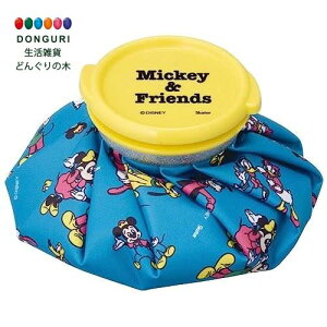 y200~N[|z SKATER XP[^[ X̂ ACXobO S XX Ђ傤̂ fBYj[ ~bL[&tY 23 15cm ICB1-A XP[^[ v[g wj w ObY ۈ牀 ct 