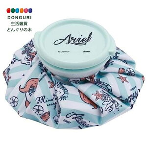 y200~N[|z SKATER XP[^[ X̂ ACXobO S XX Ђ傤̂ fBYj[ AG 23 15cm ICB1-A XP[^[ v[g j wj w ۈ牀 ct wZ q