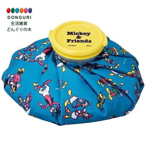 y200~N[|z SKATER XP[^[ X̂ ACXobO M XX fBYj[ ~bL[&tY 23 21cm ICB2-A XP[^[ v[g wj w ObY ۈ牀 ct wZ q